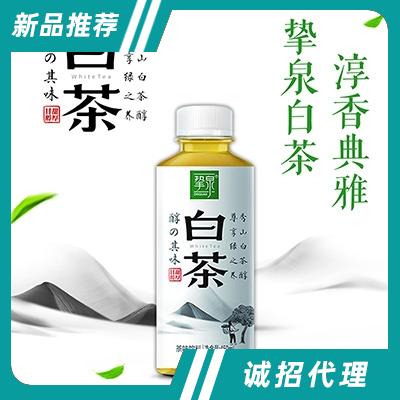 摯泉白茶茶飲料450ml