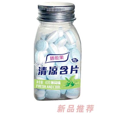 膳能果清涼含片40克薄荷味