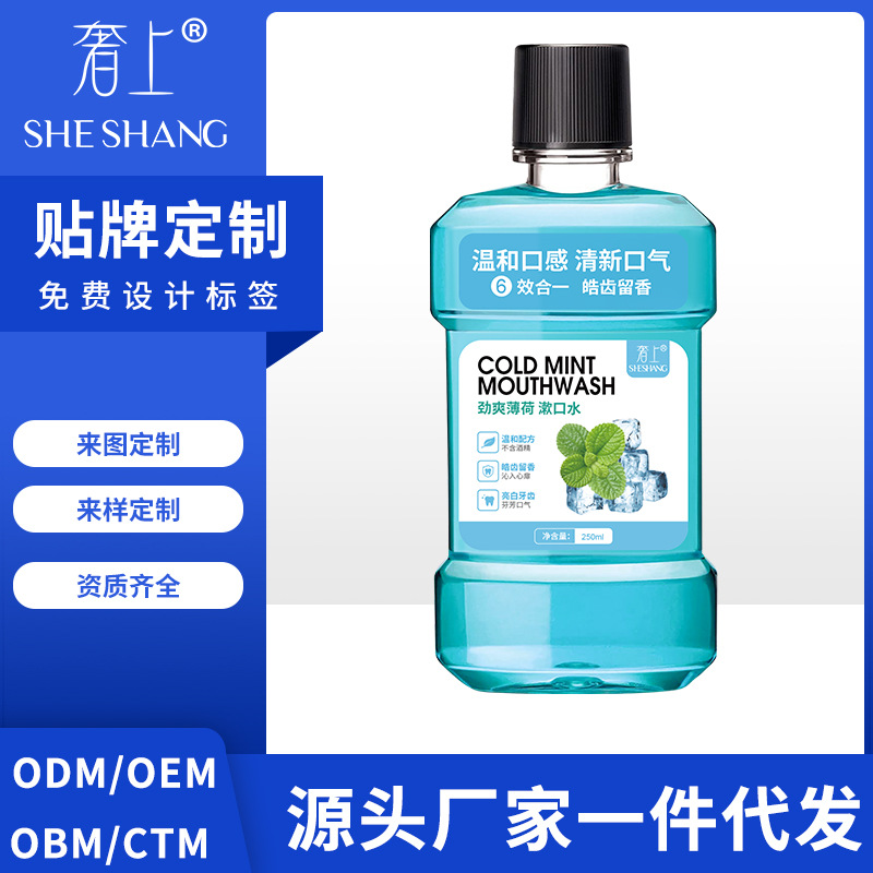 漱口水便攜式250ML清新口氣薄荷味OEM代加工